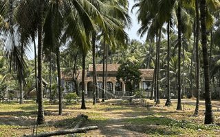 Kerala: Weddings, Jungles & Backwaters