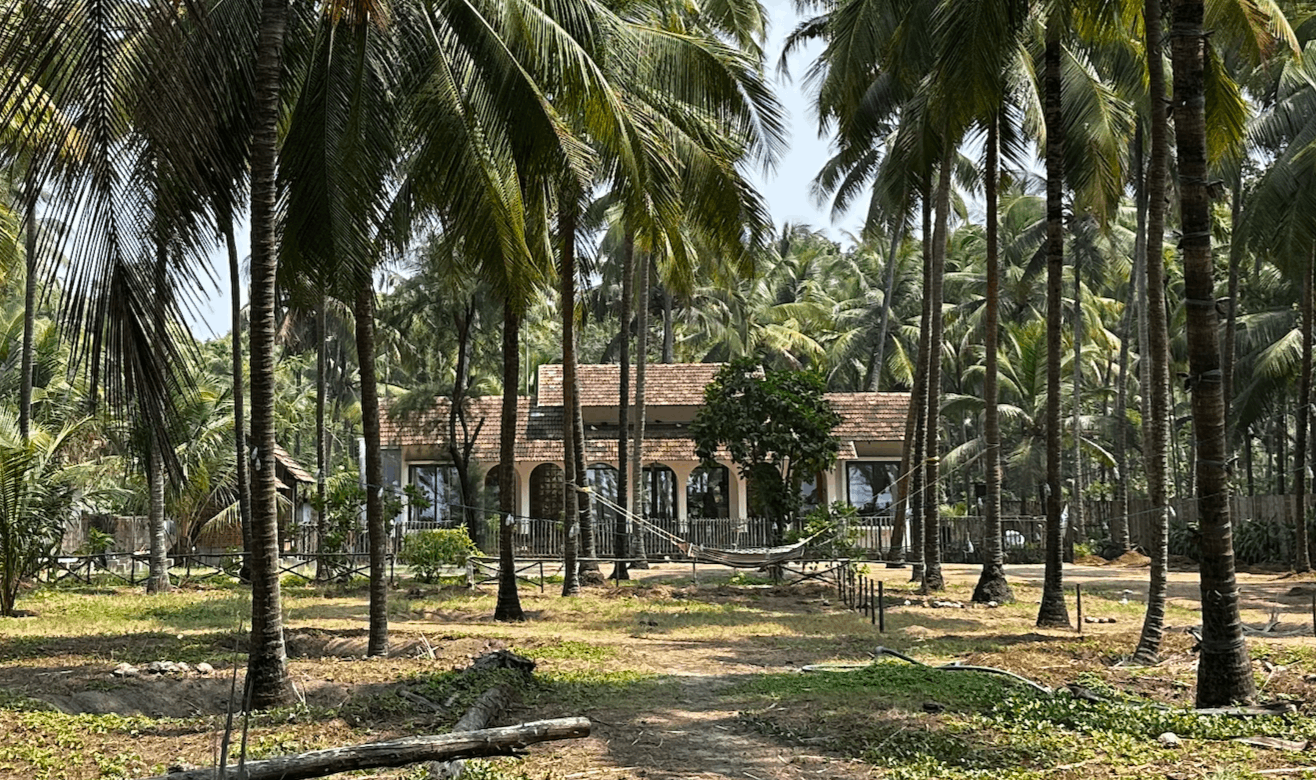 Kerala: Weddings, Jungles & Backwaters